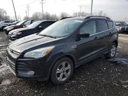 Salvage cars for sale from Copart Columbus, OH: 2015 Ford Escape SE