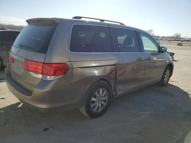 2008 Honda Odyssey EXL