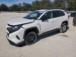 2019 Toyota Rav4 LE en venta en Ocala, FL