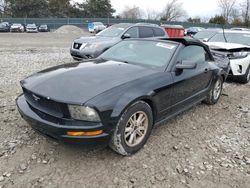 Salvage cars for sale at Madisonville, TN auction: 2006 Ford Mustang