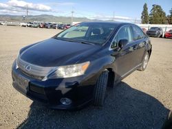 Lexus HS 250H salvage cars for sale: 2010 Lexus HS 250H