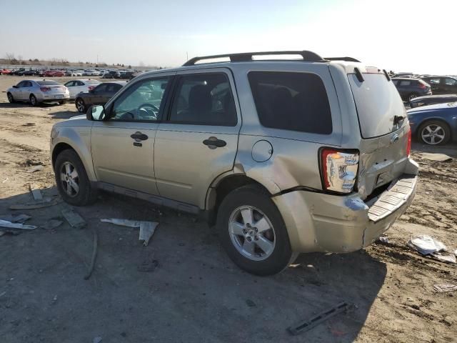 2010 Ford Escape XLT