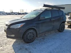 Ford Escape SE salvage cars for sale: 2016 Ford Escape SE