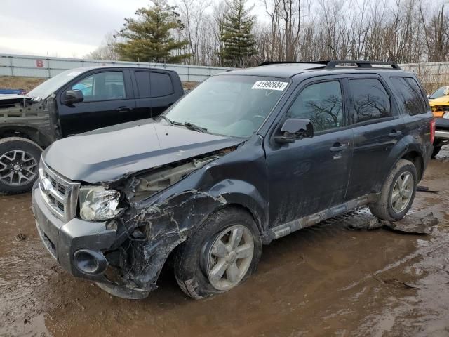 2009 Ford Escape XLT