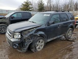 Ford Escape xlt salvage cars for sale: 2009 Ford Escape XLT