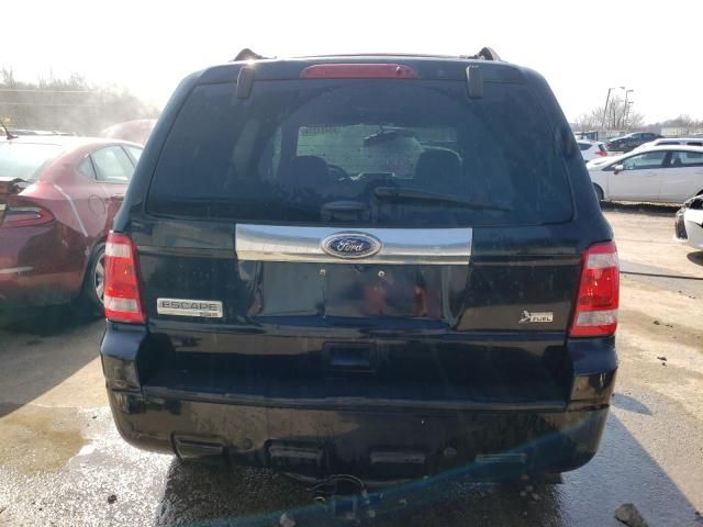 2012 Ford Escape Limited