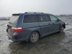 2005 Honda Odyssey EX