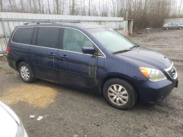 2008 Honda Odyssey EXL