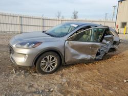 Ford Escape SEL salvage cars for sale: 2022 Ford Escape SEL