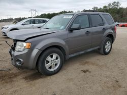 Ford Escape XLT salvage cars for sale: 2011 Ford Escape XLT