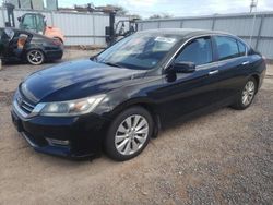 Salvage cars for sale from Copart Kapolei, HI: 2013 Honda Accord EXL