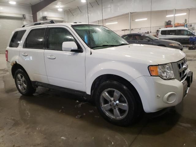 2011 Ford Escape Limited