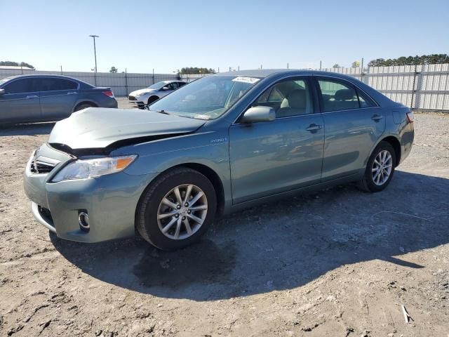 2010 Toyota Camry Hybrid