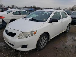 Salvage cars for sale at Hillsborough, NJ auction: 2009 Toyota Corolla Base