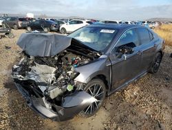 Toyota Camry salvage cars for sale: 2021 Toyota Camry SE