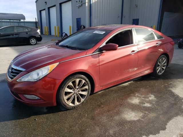 2013 Hyundai Sonata SE