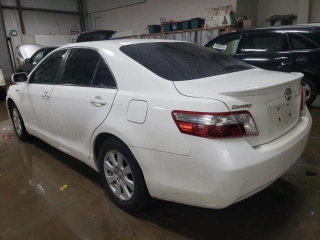 2008 Toyota Camry Hybrid