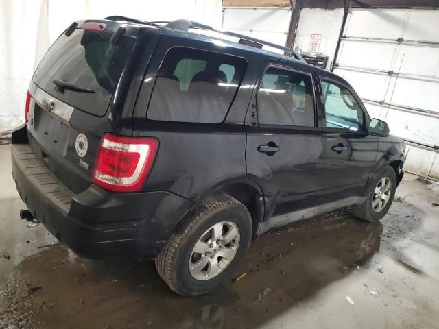 2010 Ford Escape Limited