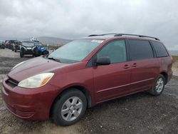 Salvage cars for sale at North Las Vegas, NV auction: 2005 Toyota Sienna CE