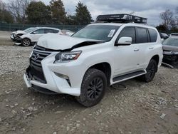 Salvage cars for sale at Madisonville, TN auction: 2019 Lexus GX 460
