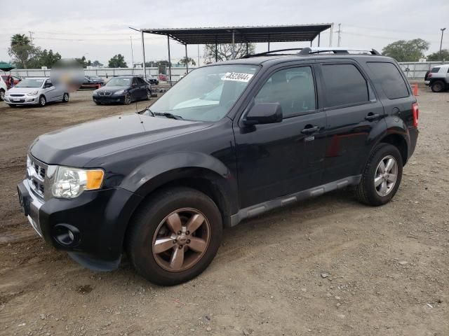 2011 Ford Escape Limited