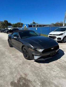 2020 Ford Mustang for sale in Orlando, FL