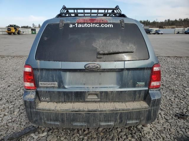 2010 Ford Escape XLT