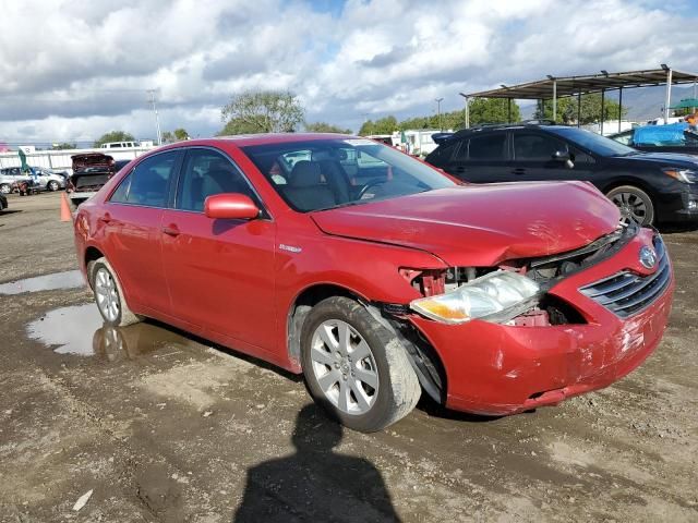 2009 Toyota Camry Hybrid