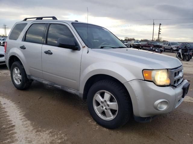 2009 Ford Escape XLT