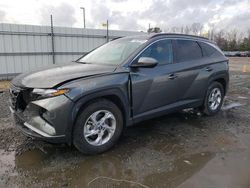 Salvage cars for sale at Lumberton, NC auction: 2023 Hyundai Tucson SEL