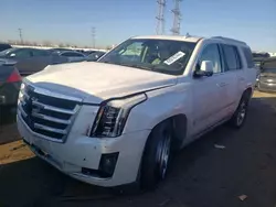 Salvage cars for sale at Elgin, IL auction: 2018 Cadillac Escalade Premium Luxury