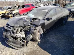 Acura Vehiculos salvage en venta: 2023 Acura TLX Type S PMC Edition