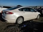 2016 Ford Fusion SE Phev