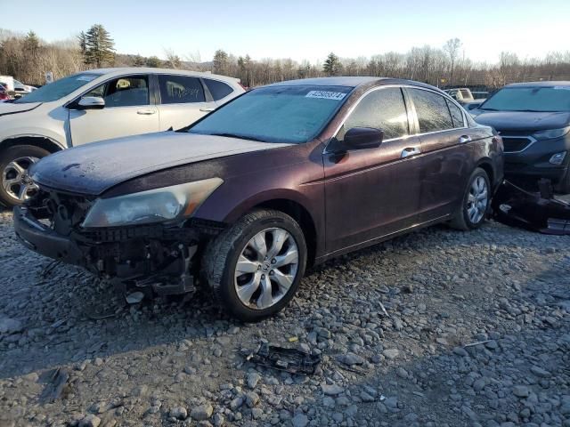 2010 Honda Accord EXL