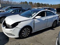 Hyundai Sonata SE Vehiculos salvage en venta: 2014 Hyundai Sonata SE