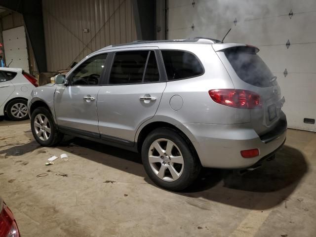 2009 Hyundai Santa FE SE