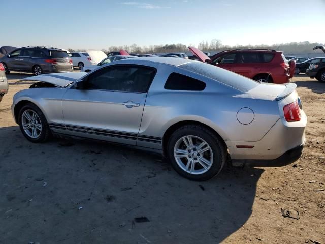 2010 Ford Mustang