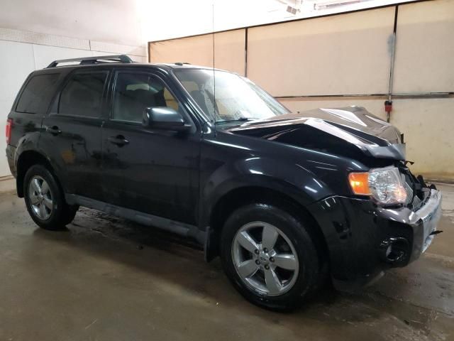 2010 Ford Escape Limited