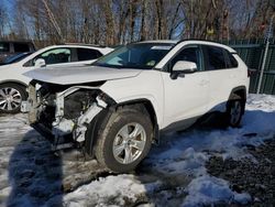 Salvage cars for sale from Copart Candia, NH: 2019 Toyota Rav4 XLE