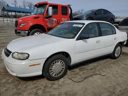 Vehiculos salvage en venta de Copart Spartanburg, SC: 2004 Chevrolet Classic