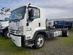 Isuzu FTR salvage cars for sale: 2020 Isuzu FTR