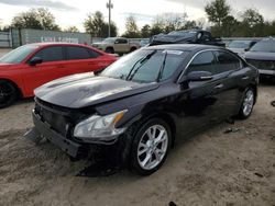 Salvage cars for sale from Copart Midway, FL: 2012 Nissan Maxima S