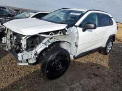 Toyota Rav4 LE salvage cars for sale: 2020 Toyota Rav4 LE