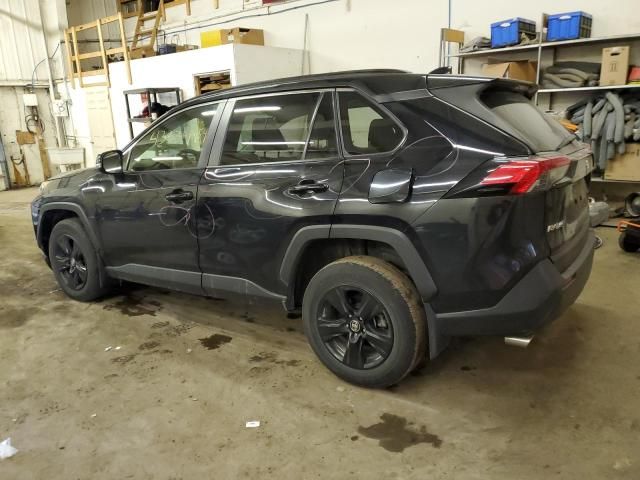 2019 Toyota Rav4 XLE