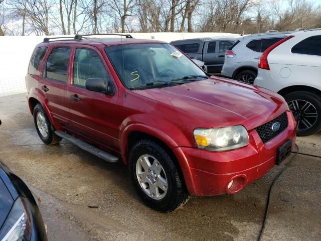 2007 Ford Escape XLT