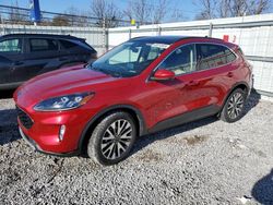Salvage cars for sale from Copart Walton, KY: 2020 Ford Escape Titanium
