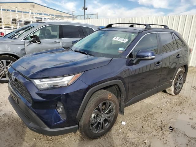 2023 Toyota Rav4 XLE Premium