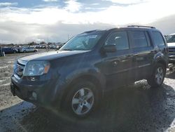 Salvage cars for sale at Eugene, OR auction: 2009 Honda Pilot EXL