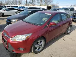 Ford Focus salvage cars for sale: 2014 Ford Focus SE