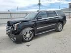 2015 Cadillac Escalade